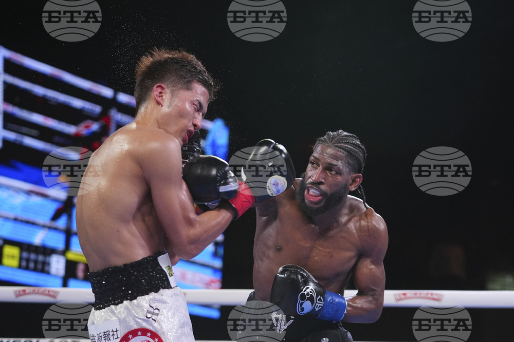 Cruz Mishiro Boxing