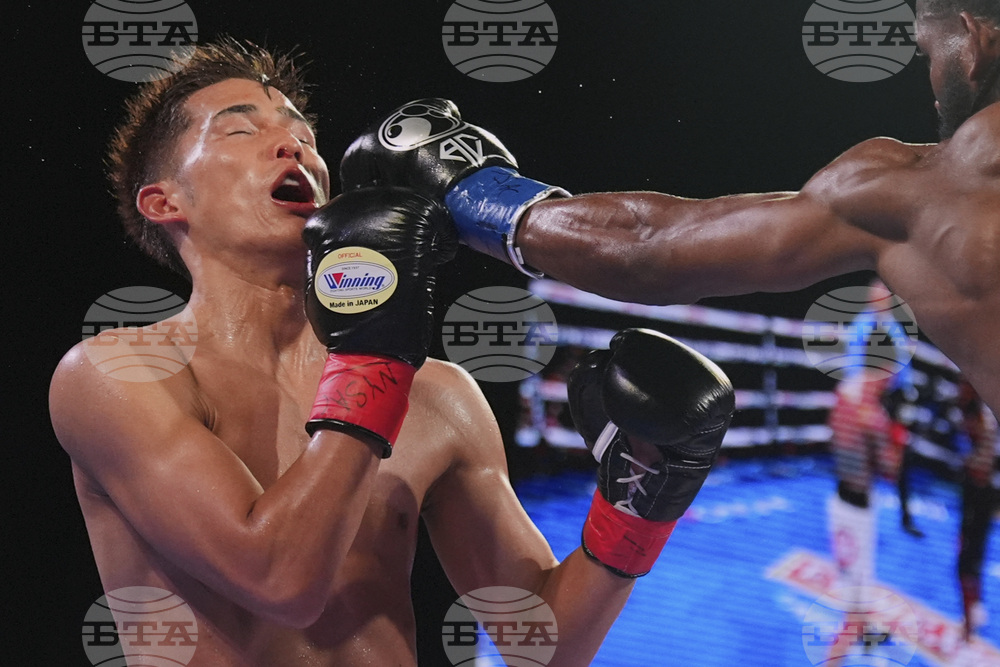 Cruz Mishiro Boxing