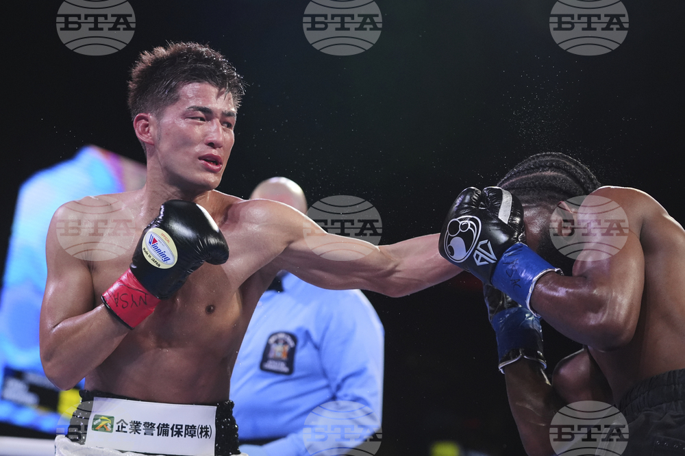 Cruz Mishiro Boxing