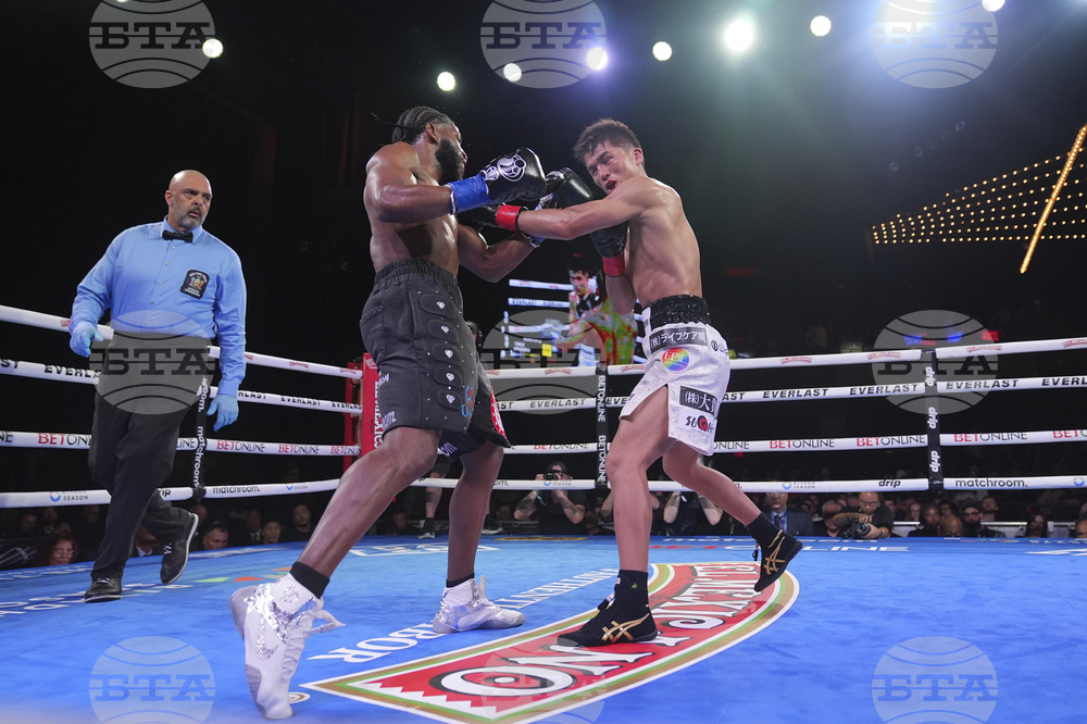 Cruz Mishiro Boxing