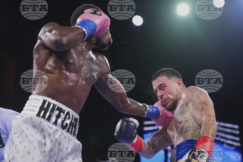Hitchins Kambosos Boxing