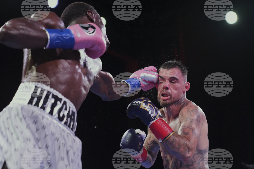 Hitchins Kambosos Boxing
