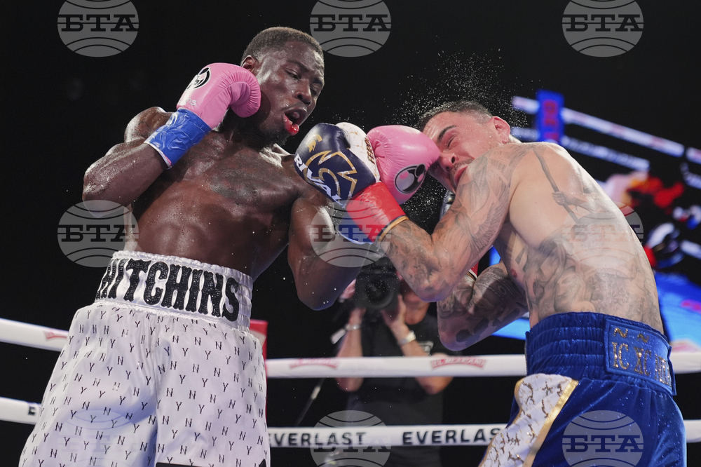 Hitchins Kambosos Boxing