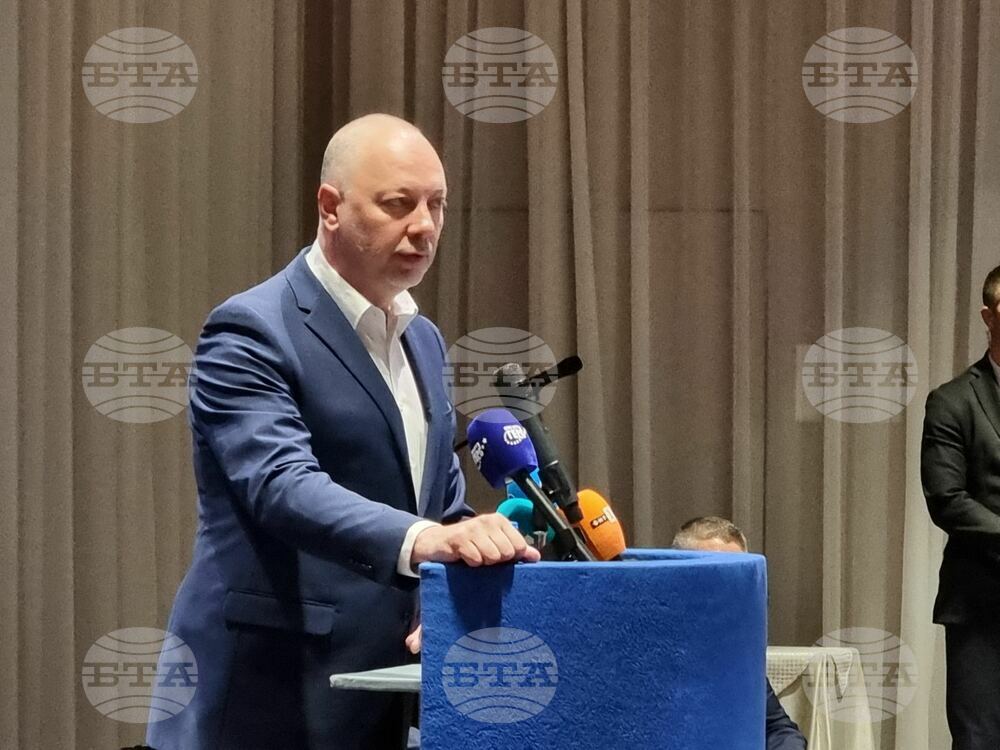 Bulgarian Model Is Stable Enough for Eurozone Membership, Says PM Zhelyazkov