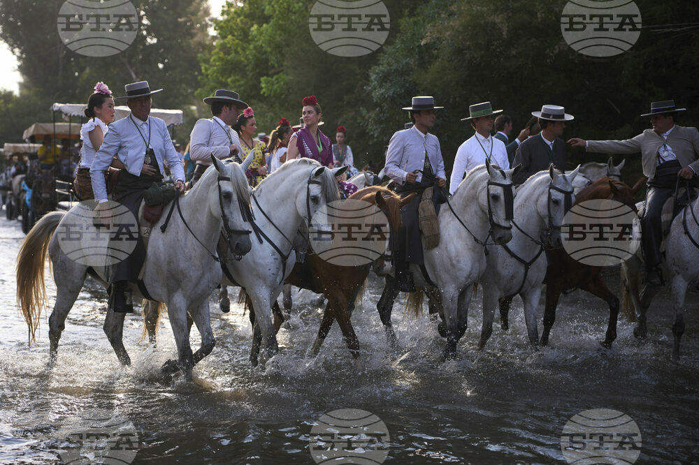 Spain Pilgrimage Horses
