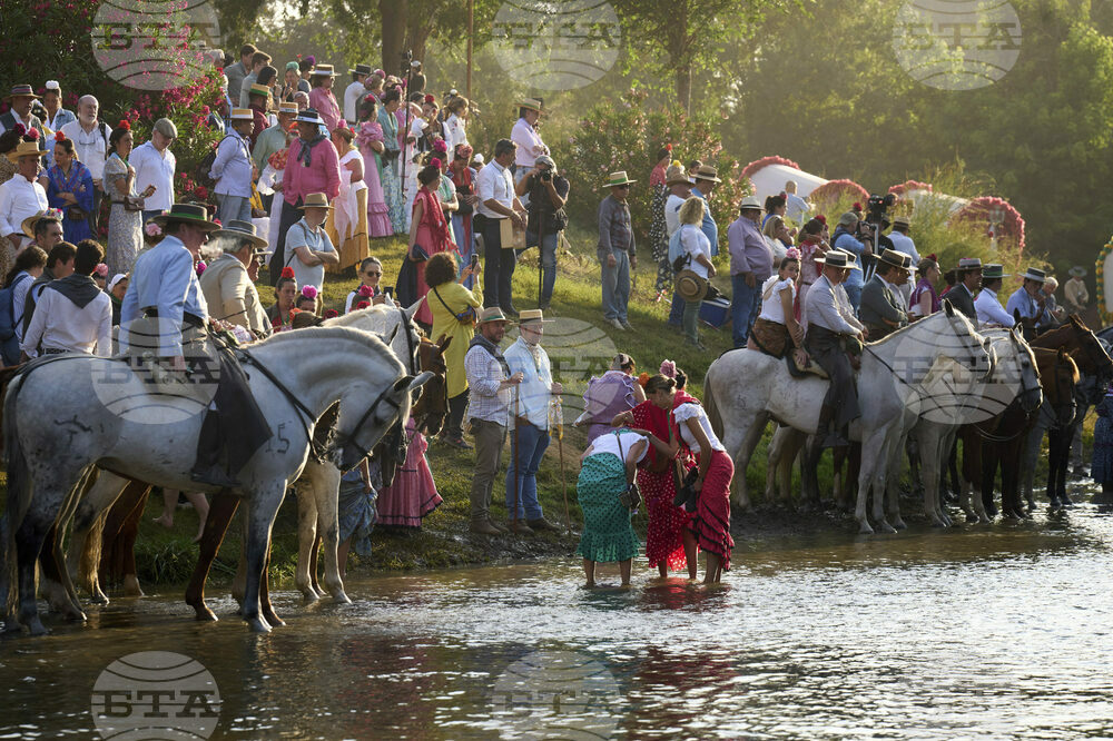 Spain Pilgrimage Horses
