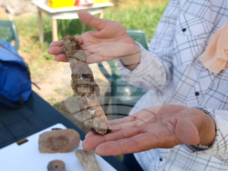 Белене - крепост „Димум” - археологически проучвания