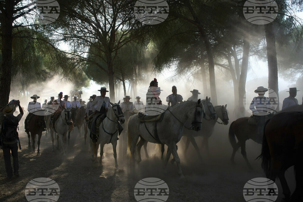 Spain Pilgrimage Horses