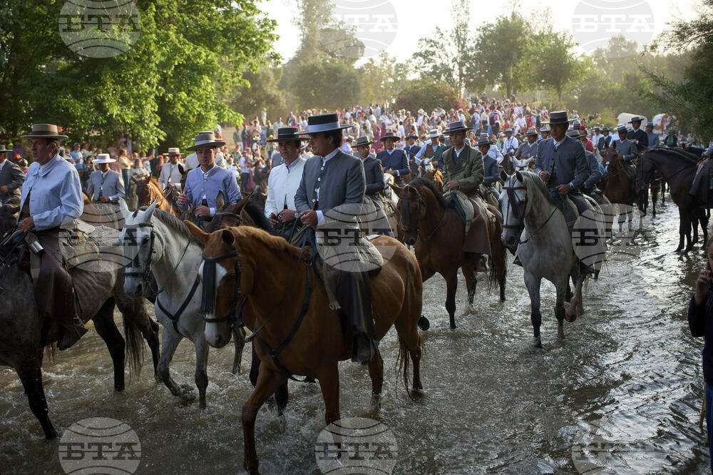 Spain Pilgrimage Horses