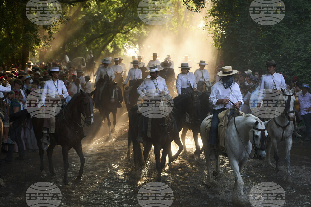 Spain Pilgrimage Horses