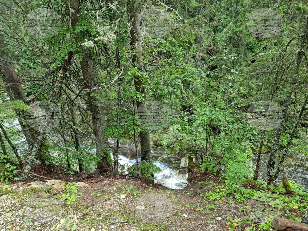 Първоначално заложените цели по проекта "Земите и горите на орела" са преизпълнени значително, съобщиха от ИАГ