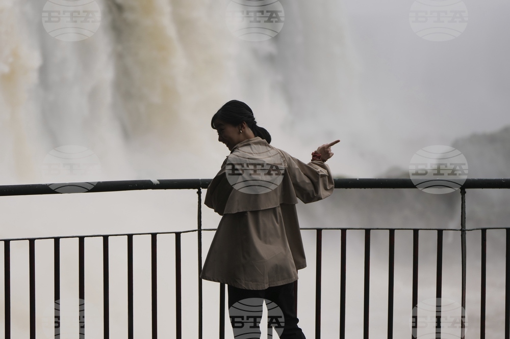 Brazil Japan Princess