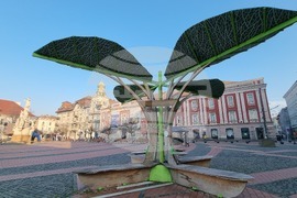 Румъния -  “Тимишоара - европейска столица на културата”