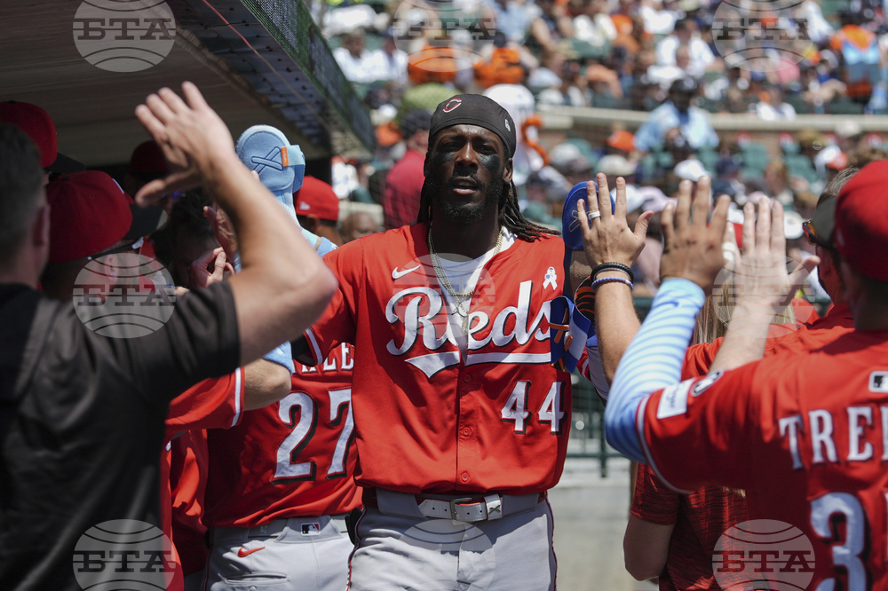Reds Tigers Baseball