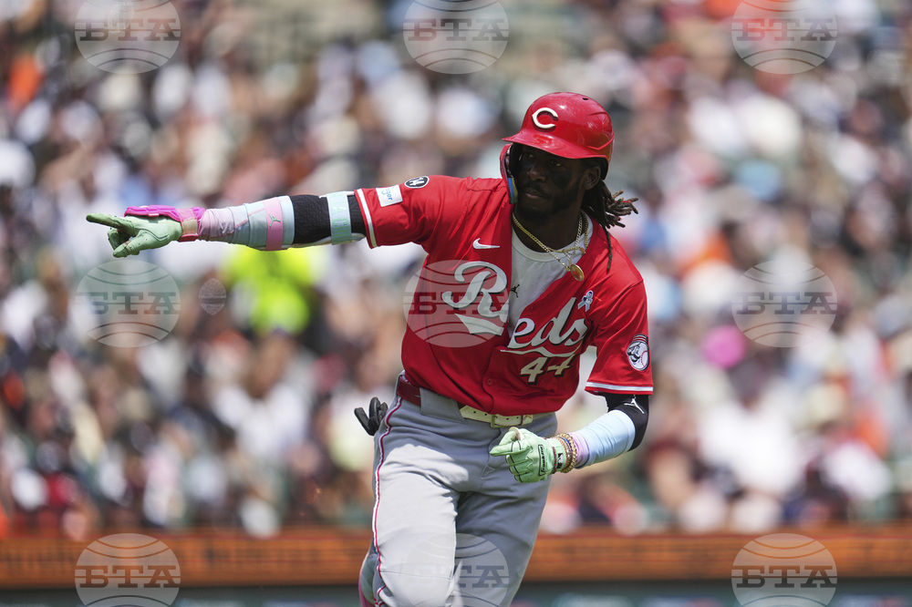 Reds Tigers Baseball