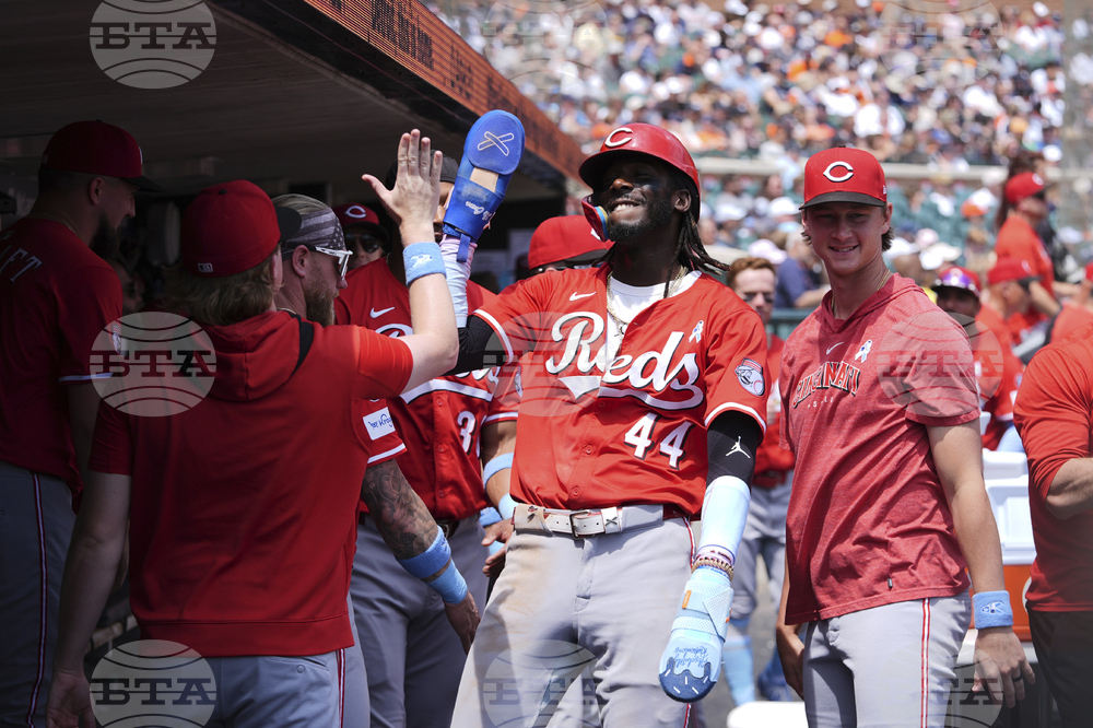 Reds Tigers Baseball
