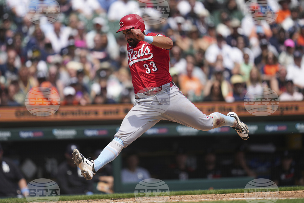 Reds Tigers Baseball