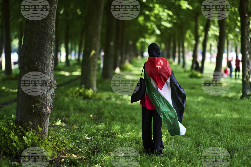 Netherlands Gaza Protest