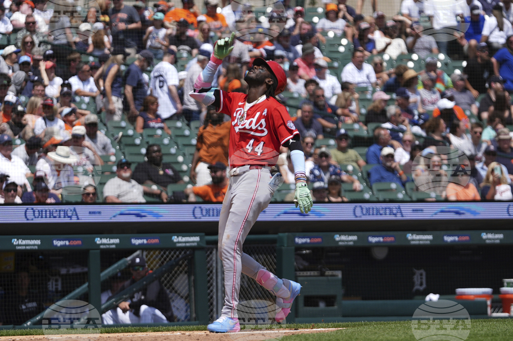 Reds Tigers Baseball