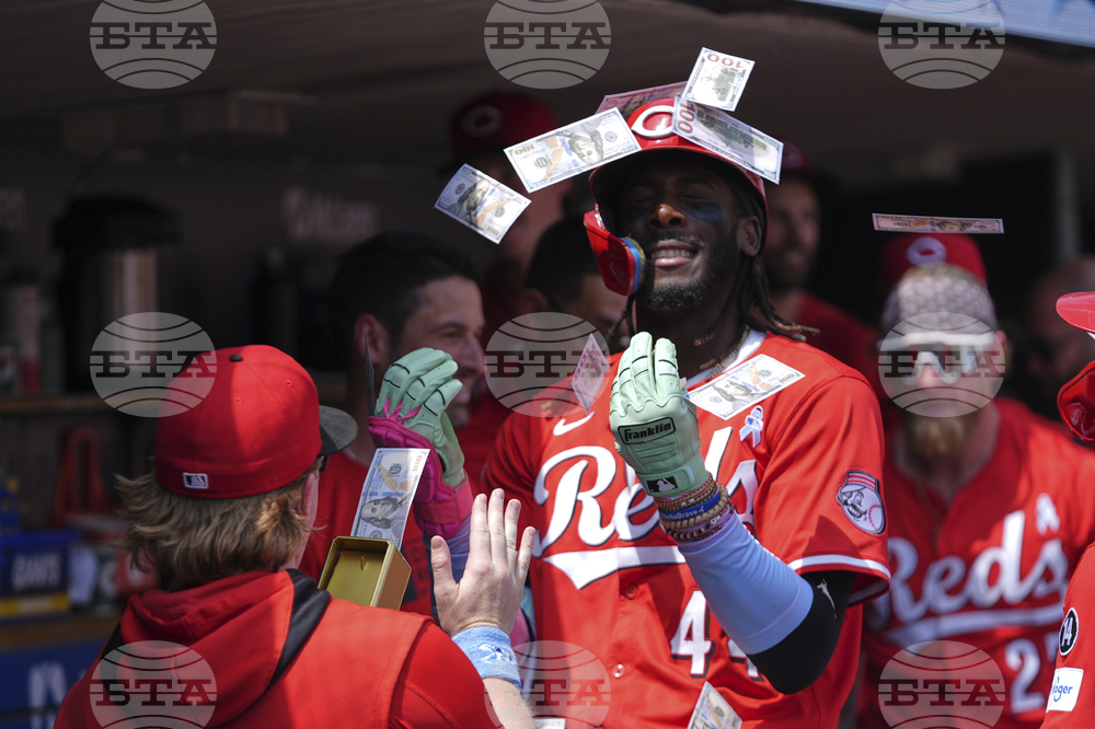 Reds Tigers Baseball