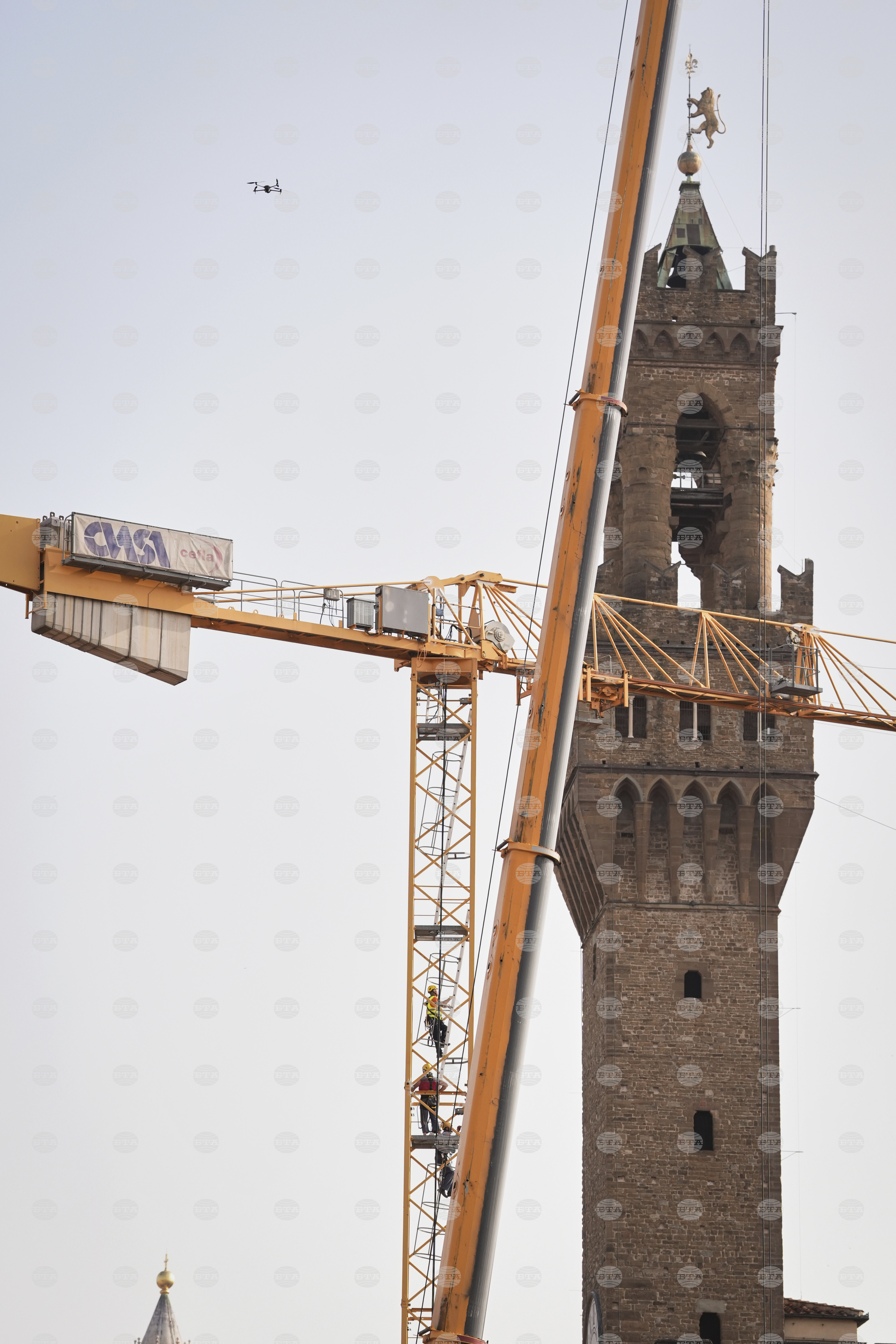 Italy Uffizi Crane