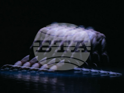 Снимка: Драматично-куклен театър "Иван Радоев" – Плевен