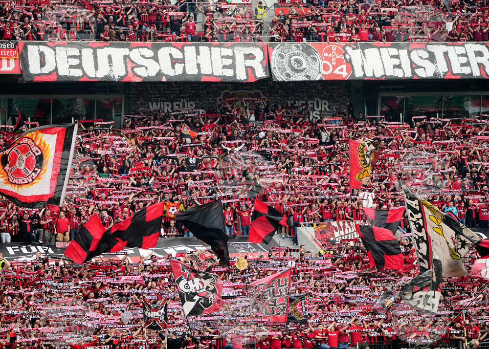 Soccer Germany Fan Control