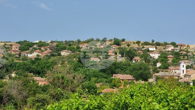 Установено е огнище на шарка по овцете и козите в свиленградското село Левка