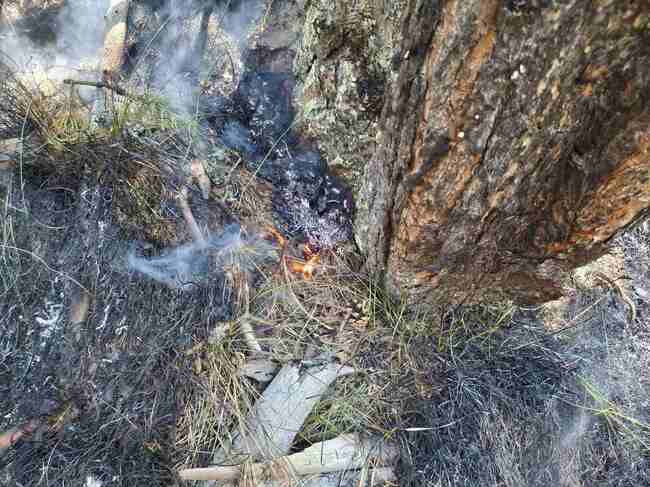 Продължава доугасяването на пожара, възникнал на 16 юни в Рила планина