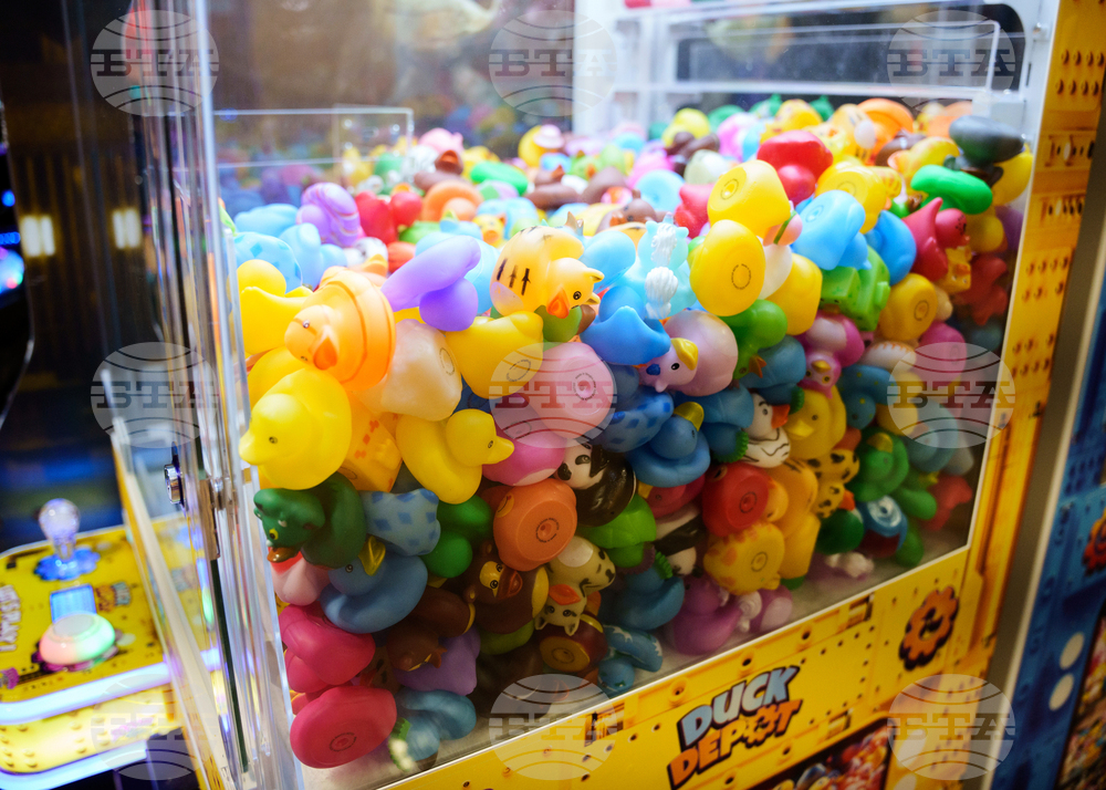 US NJ Small Business Amusement Parks