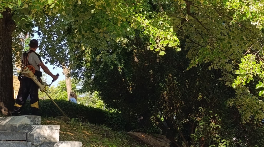 Община Шумен: ОП „Паркове и обредна дейност“ продължава косенето на централна градска част и около детски площадки