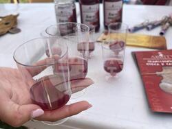 Снимка: Регионален исторически музей – Разград