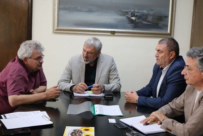 ОА Русе: Мащабна превантивна кампания за предотвратяване на аварии по електропреносната мрежа започва в Русенско