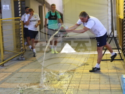 Пловдив - футбол - "Ботев" (Пловдив) - тренировка