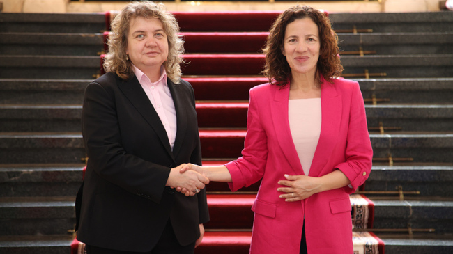 Parliament Chair Confers with EC Executive Vice-President Minzatu