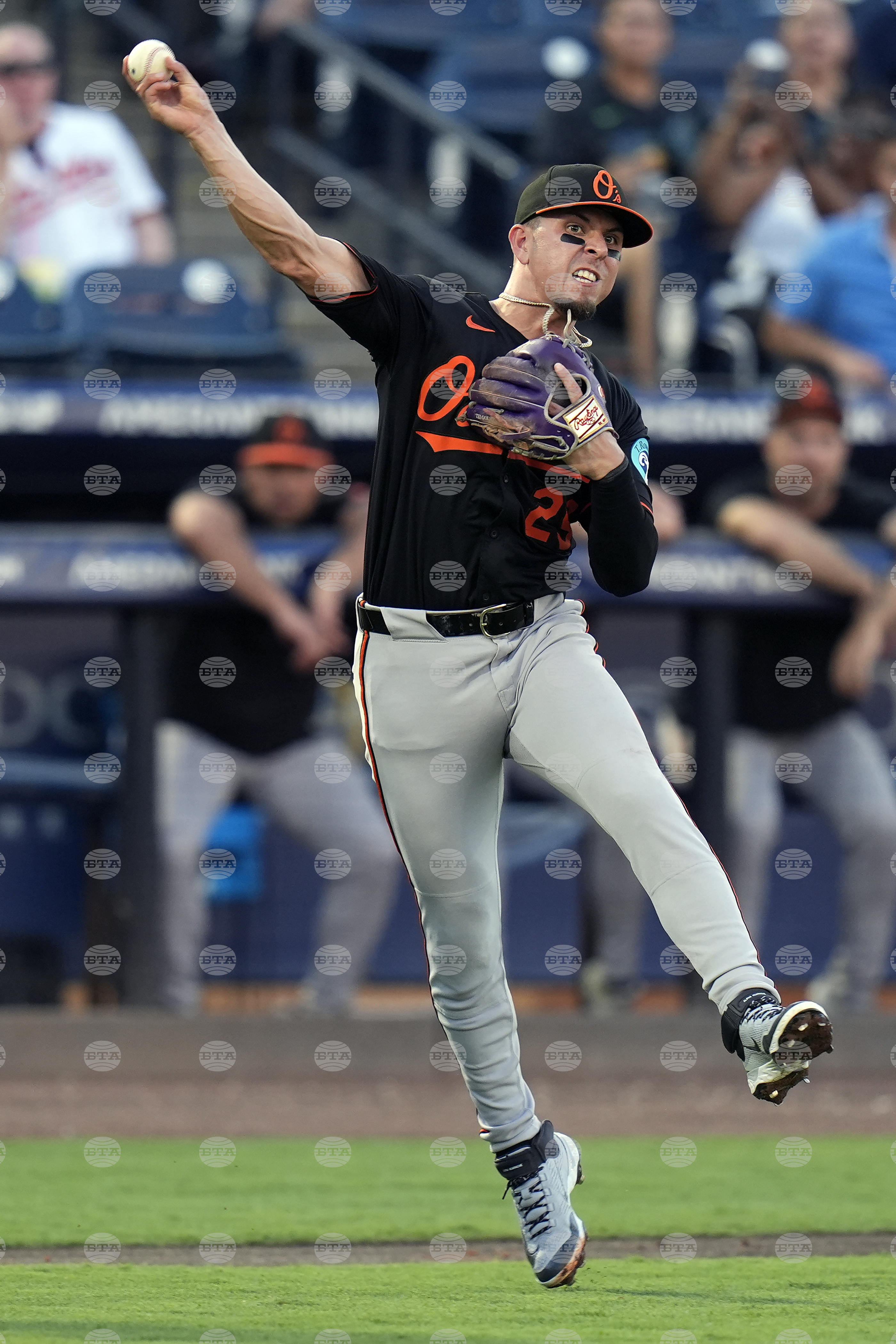 Orioles Rays Baseball