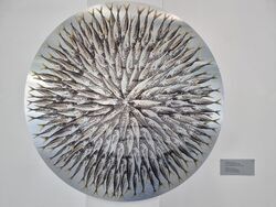 Балчик - „Процес-Пространство“ - изложба „Неизказано“