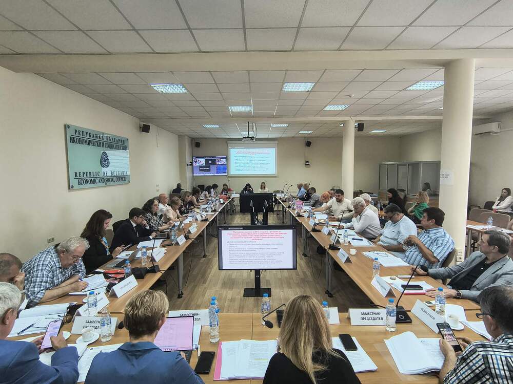 Informal Labour Sector Remains Serious Indicator of Seasonal Employment Problems, Economic and Social Council Analysis Shows