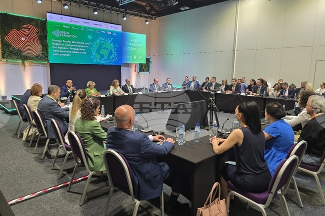 Балканите имат огромен икономически потенциал, единодушни са участниците в панел от "Грийн транзишън форум", посветен на конкурентоспособността на региона