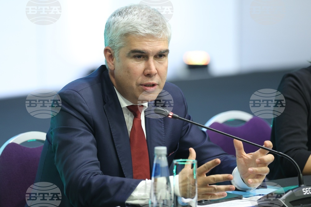 Балансът в енергетиката трябва да се ръководи от политиките на ЕС и националните особености, смята директорът на "Булгартрансгаз" Владимир Малинов