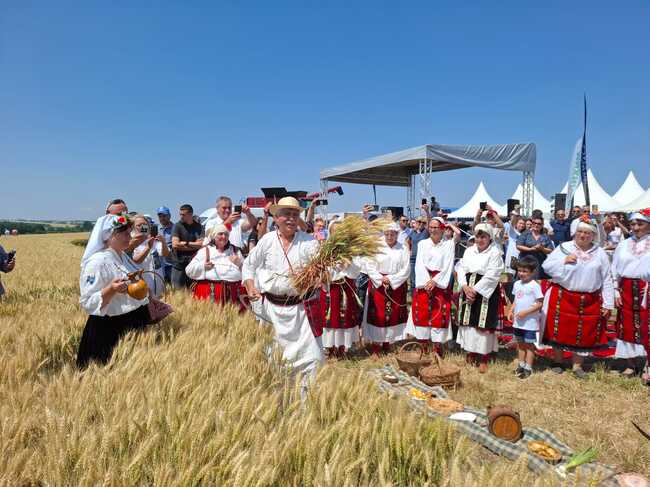 Министерството на земеделието и храните даде старт на Жътвена кампания ‘2025