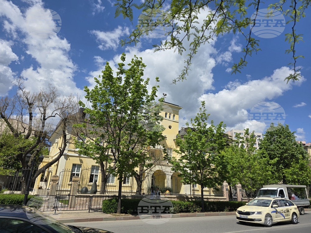 Осем зрелостници са с пълна шестица на матурата по български език и литература, а 172 са със слаби оценки в област Сливен