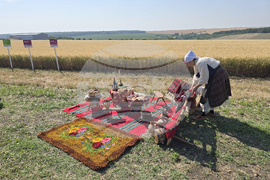 Село Цар Петрово - жътвена кампания 2025 - откриване