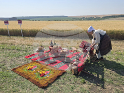 Село Цар Петрово - жътвена кампания 2025 - откриване