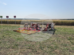 Село Цар Петрово - жътвена кампания 2025 - откриване