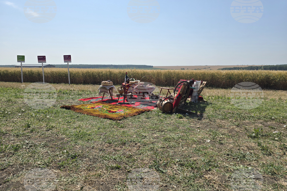 Село Цар Петрово - жътвена кампания 2025 - откриване