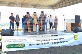 Село Цар Петрово - жътвена кампания 2025 - откриване