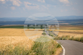 Село Трояново - земеделие - житни култури