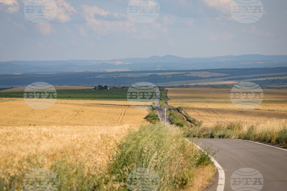 Село Трояново - земеделие - житни култури
