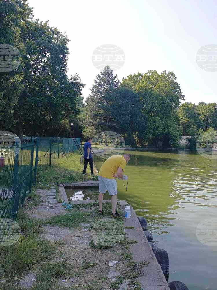 Община Пазарджик продължава плановото пръскане срещу вредители в града